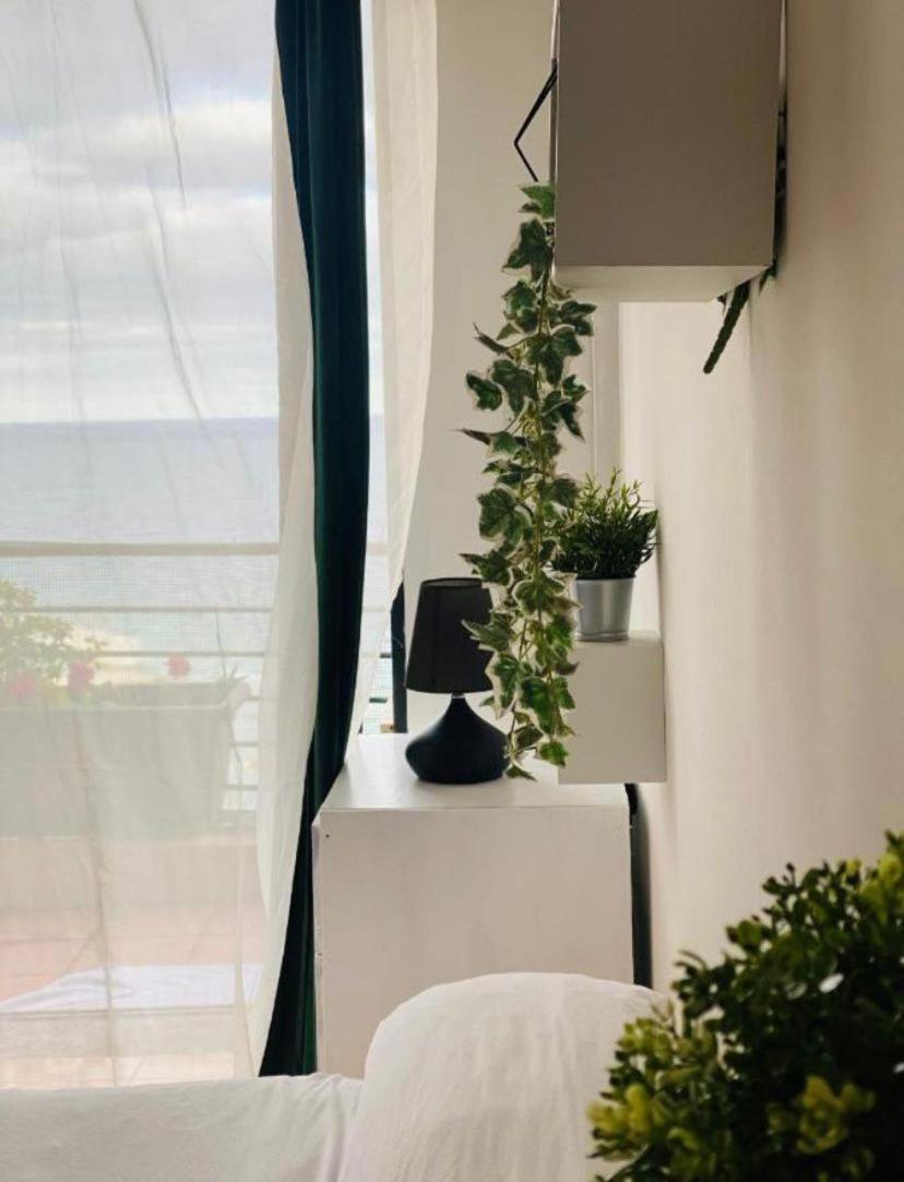 Apartament Wilga - Whole *